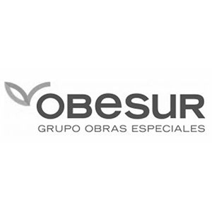 Logo Obesur | Maquetas 3D